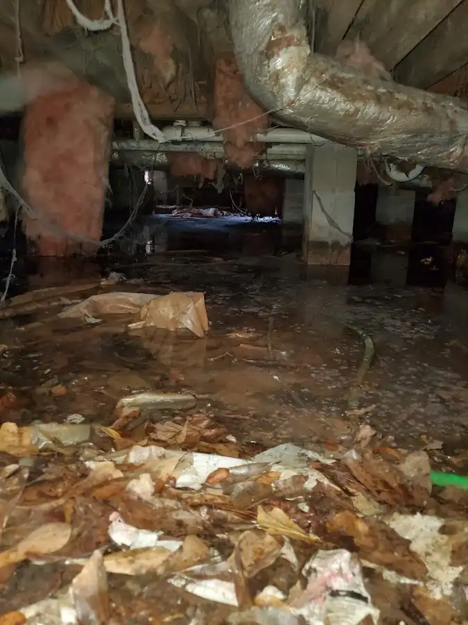 Crawl space flood assessment for Leak Detection & Repair in Lincolnton